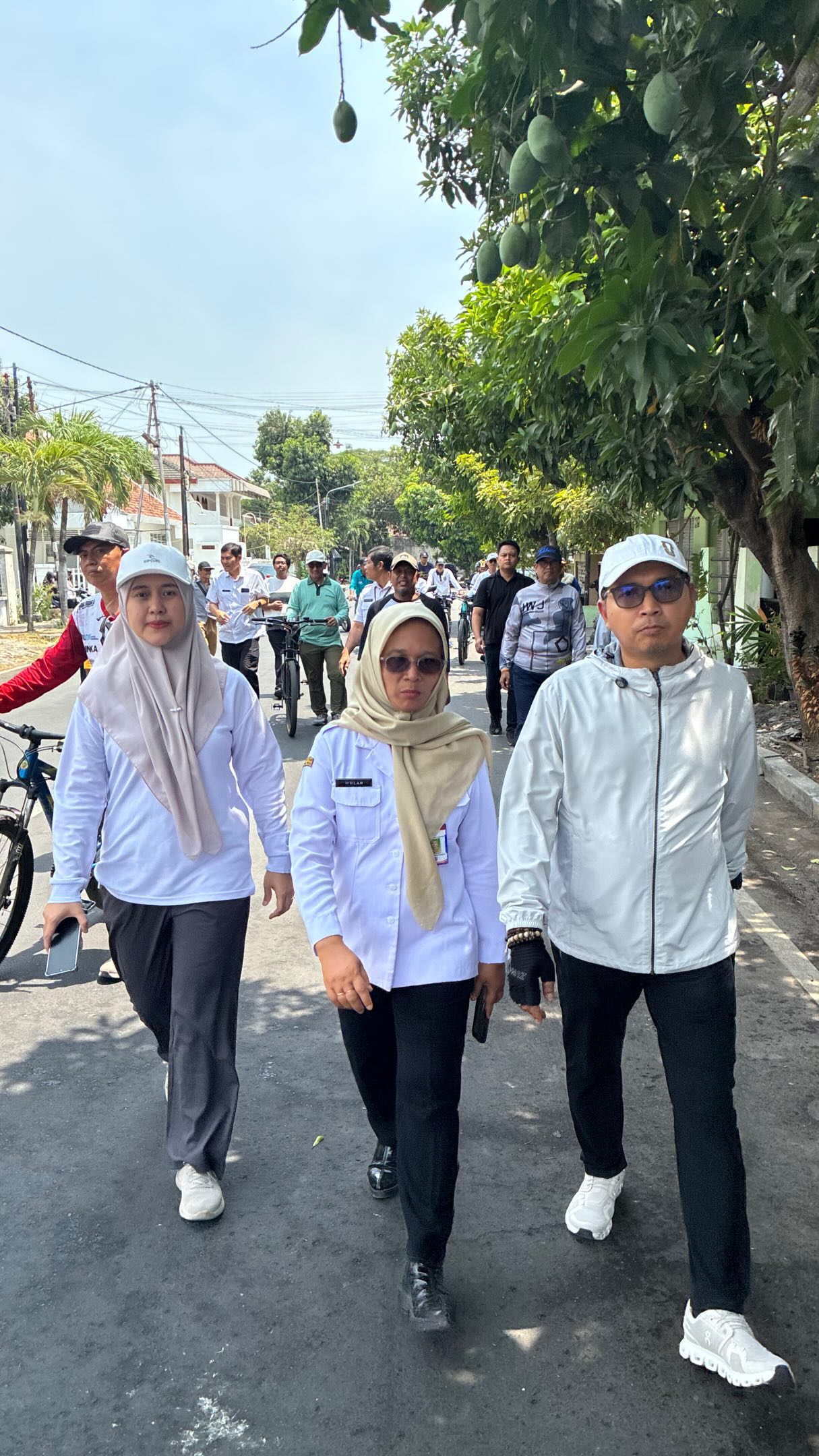 berita-ig